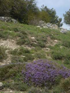 DSC09883.JPG